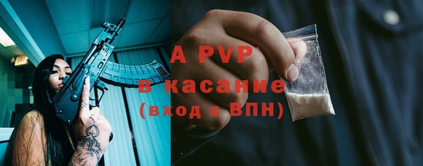 гидра Белоозёрский